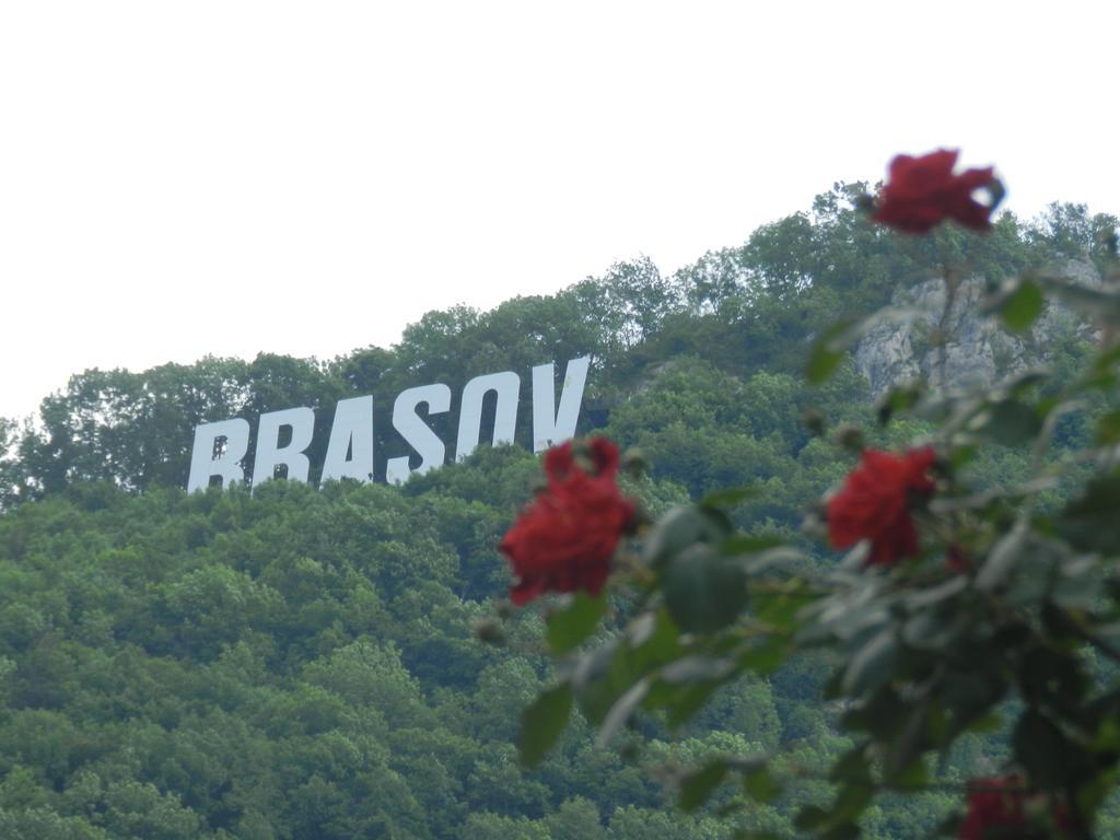 Hotel La Vita E Bella Brašov Exteriér fotografie